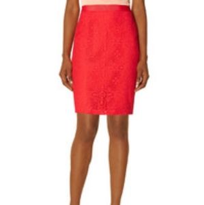 NWT THE LIMITED PENCIL SKIRT